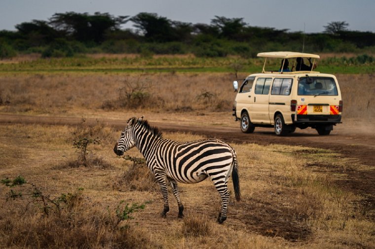 005 Nairobi Nationaal Park.jpg